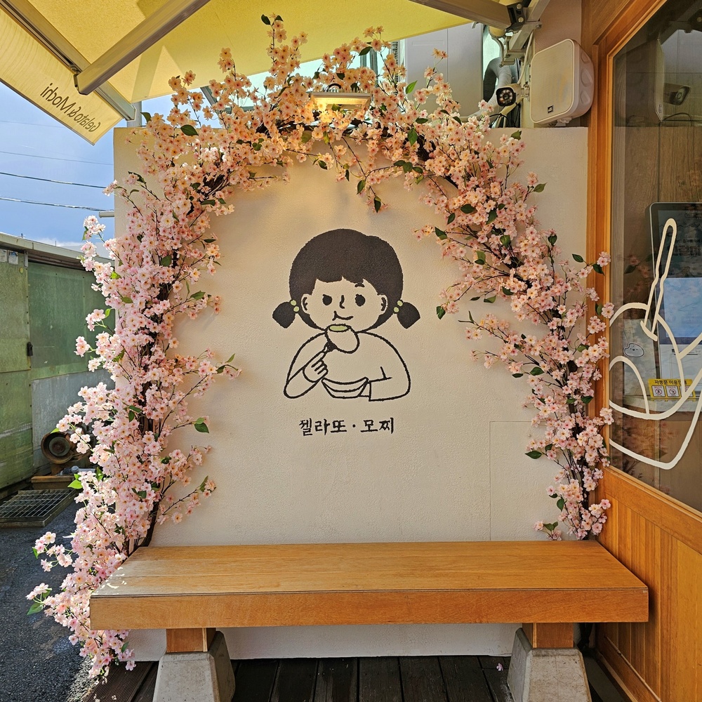 기존 벤치를 활용한 유키모찌 속초점 벚꽃 포토존
