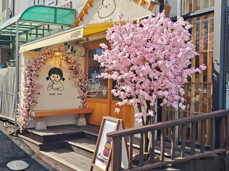 유키모찌 속초점 인조벚꽃나무 시공 | 대형 벚꽃나무와 벤치 포토존 연출 사례
