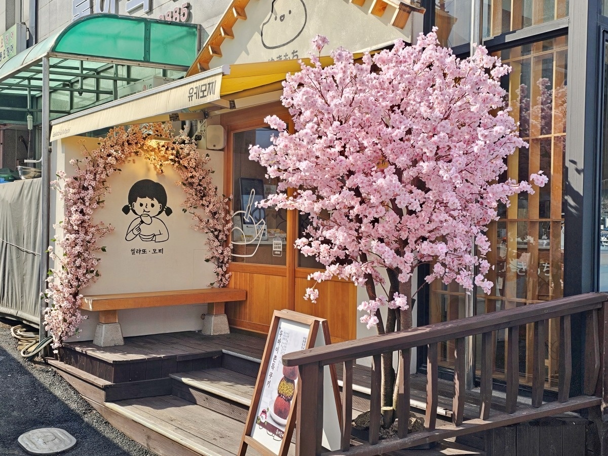 유키모찌 속초점 인조벚꽃나무와 벤치 포토존 완성 모습